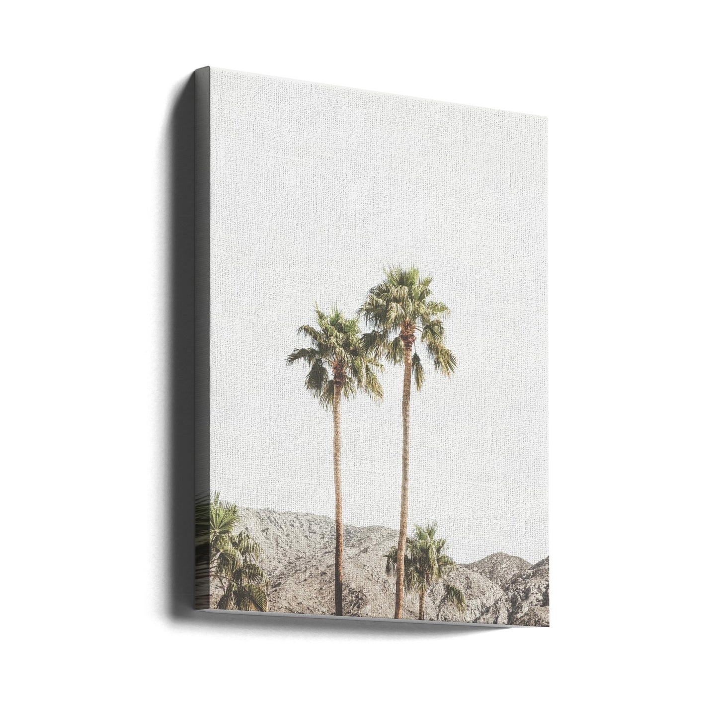Palmiers de Palm Springs | Tableaux sur Toile