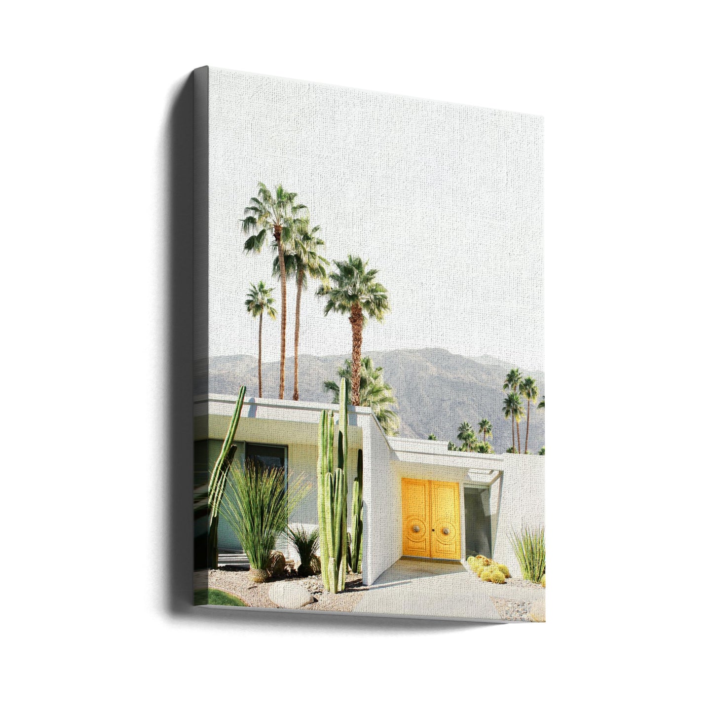 Palm Springs 2 | Leinwand-Bilder