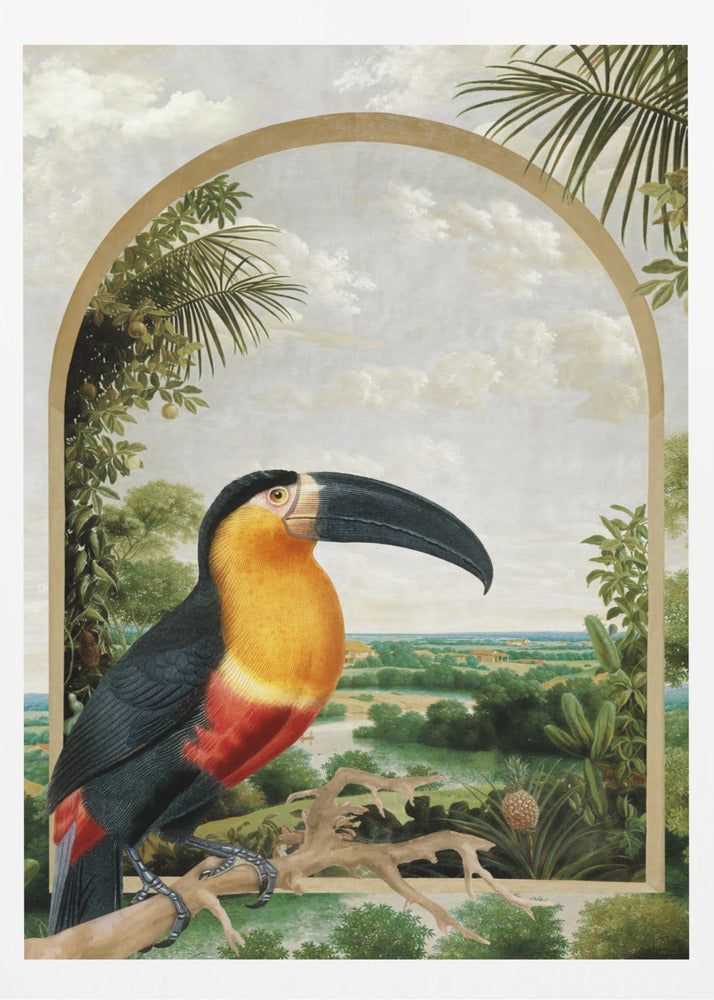 Toucan Perched on a Branch | Poster