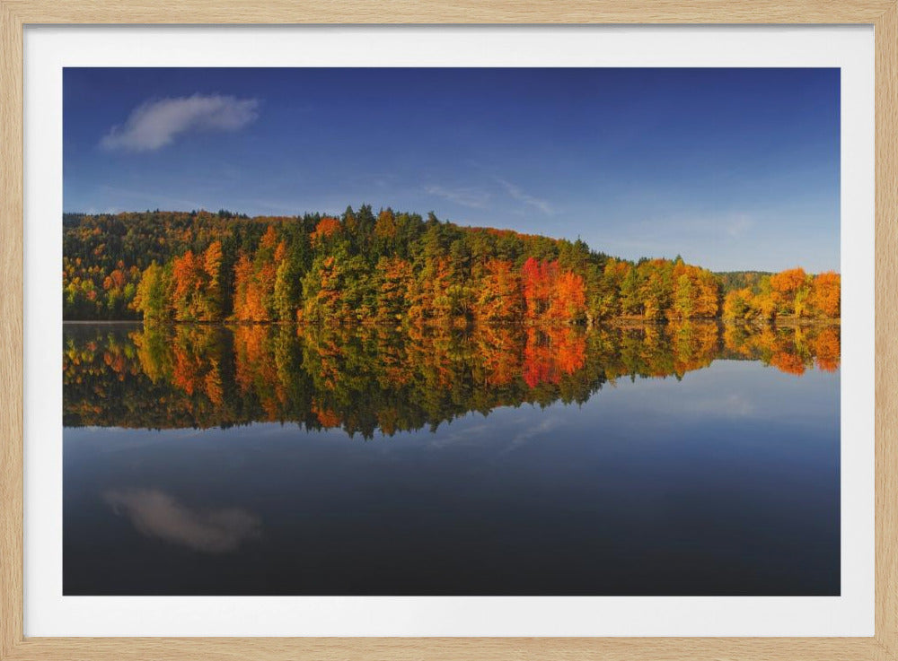 Autunno | Poster - Stampe d’Arte