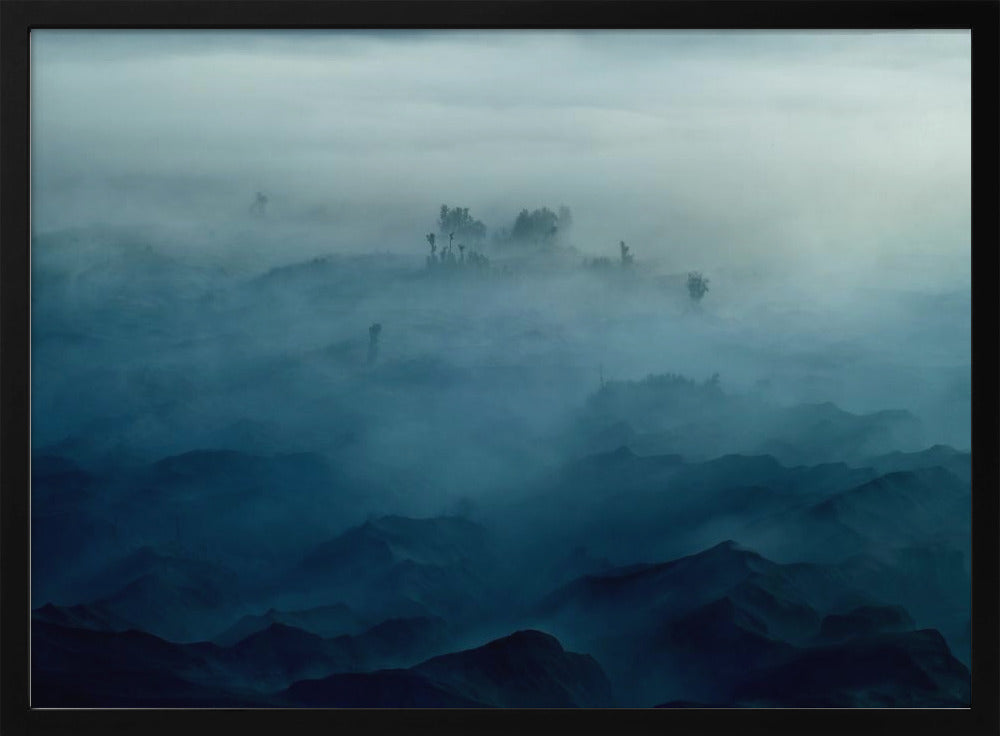 Tierra de niebla | Posters - Impresiones de Arte