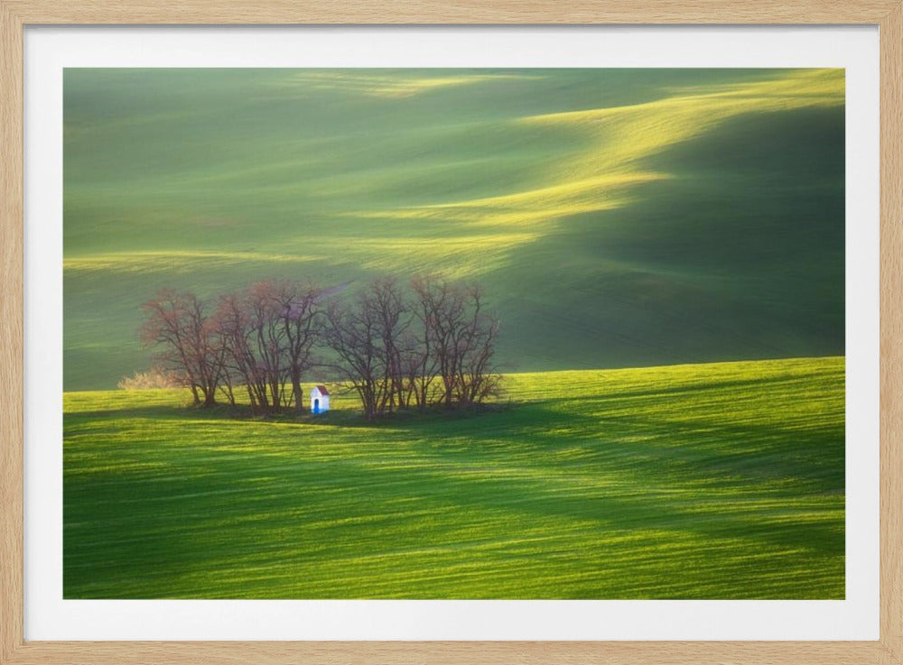 Campos... | Posters - Impresiones de Arte