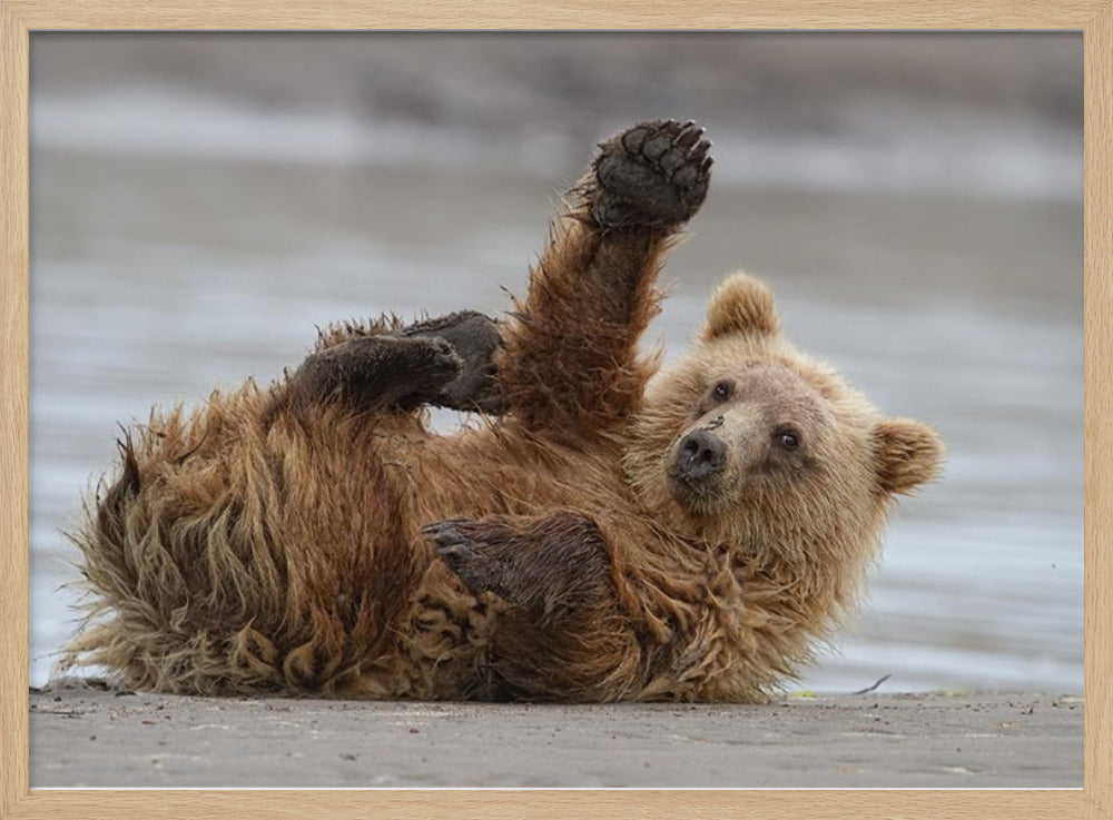 High Five | Posters - Kunstdrukken