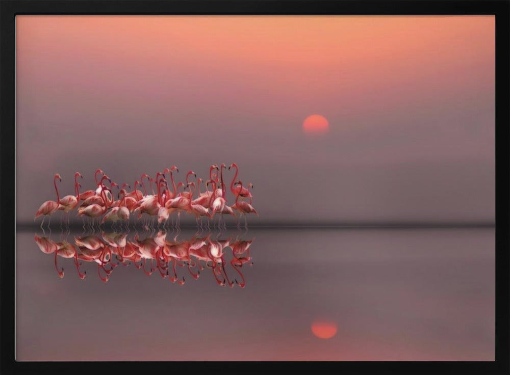 tramonto viola | Poster - Stampe d’Arte