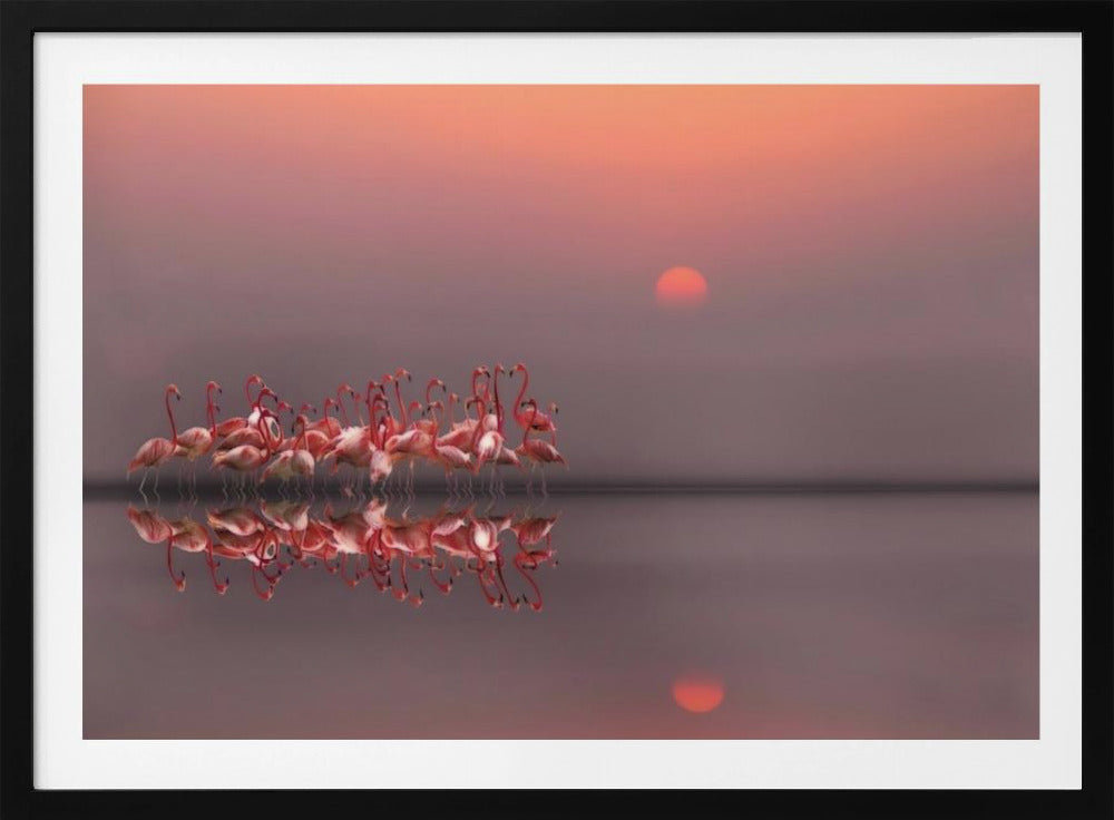 tramonto viola | Poster - Stampe d’Arte