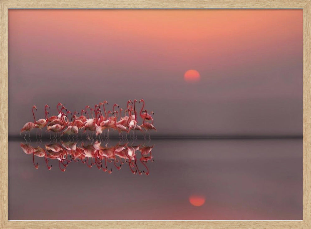 tramonto viola | Poster - Stampe d’Arte