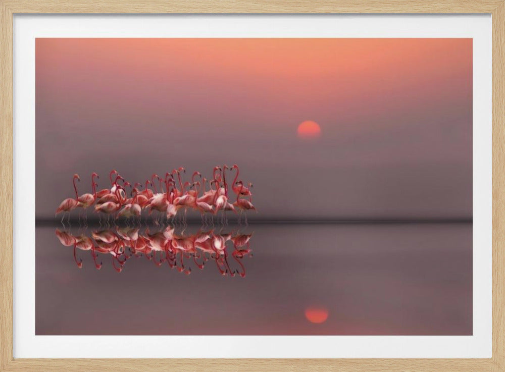 tramonto viola | Poster - Stampe d’Arte