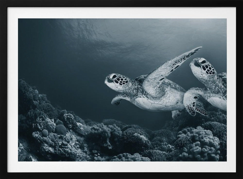 Danza gemella | Poster - Stampe d’Arte