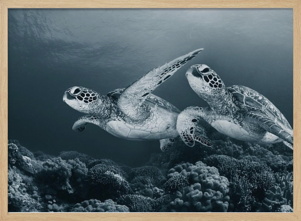 Danza gemella | Poster - Stampe d’Arte