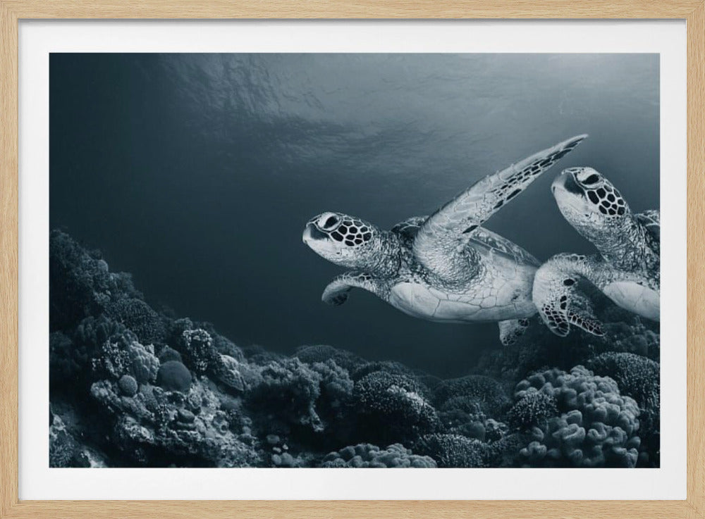 Danza gemella | Poster - Stampe d’Arte
