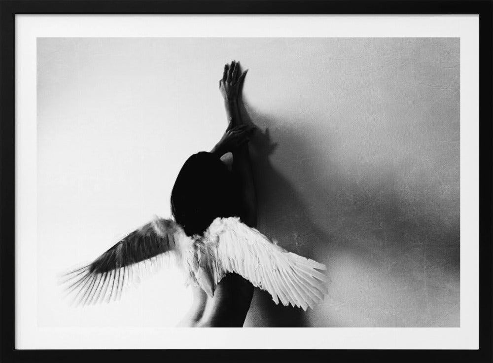 no volar Posters - Impresiones de Arte