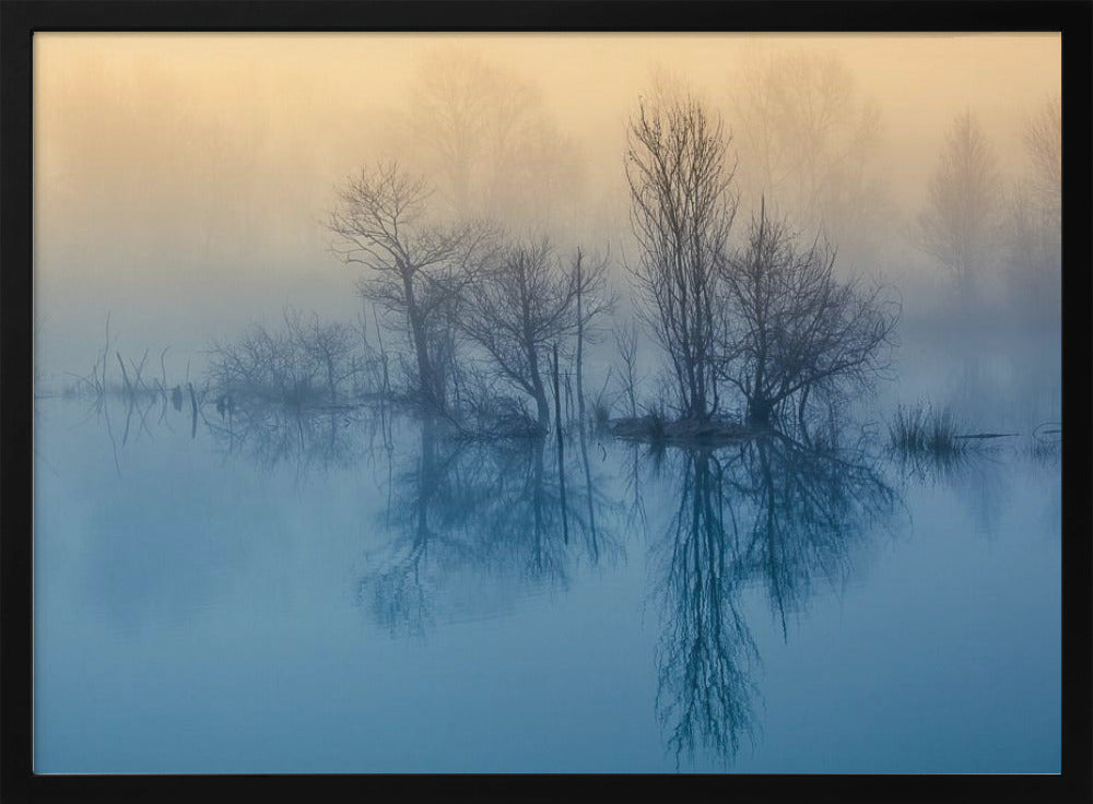Morgonreflektion | Poster