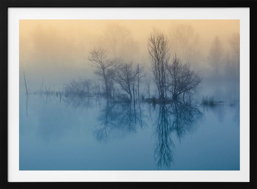 Morgonreflektion | Poster