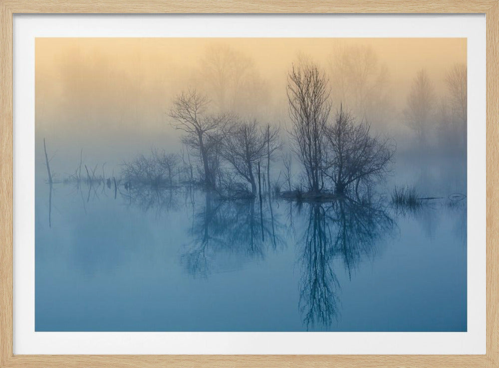 Morgonreflektion | Poster