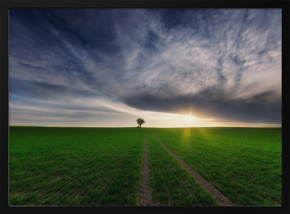 solitario bajo el sol | Posters - Impresiones de Arte