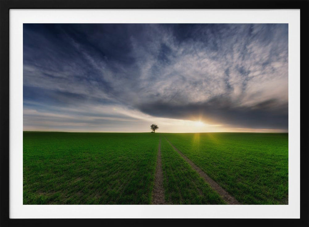 solitario bajo el sol | Posters - Impresiones de Arte