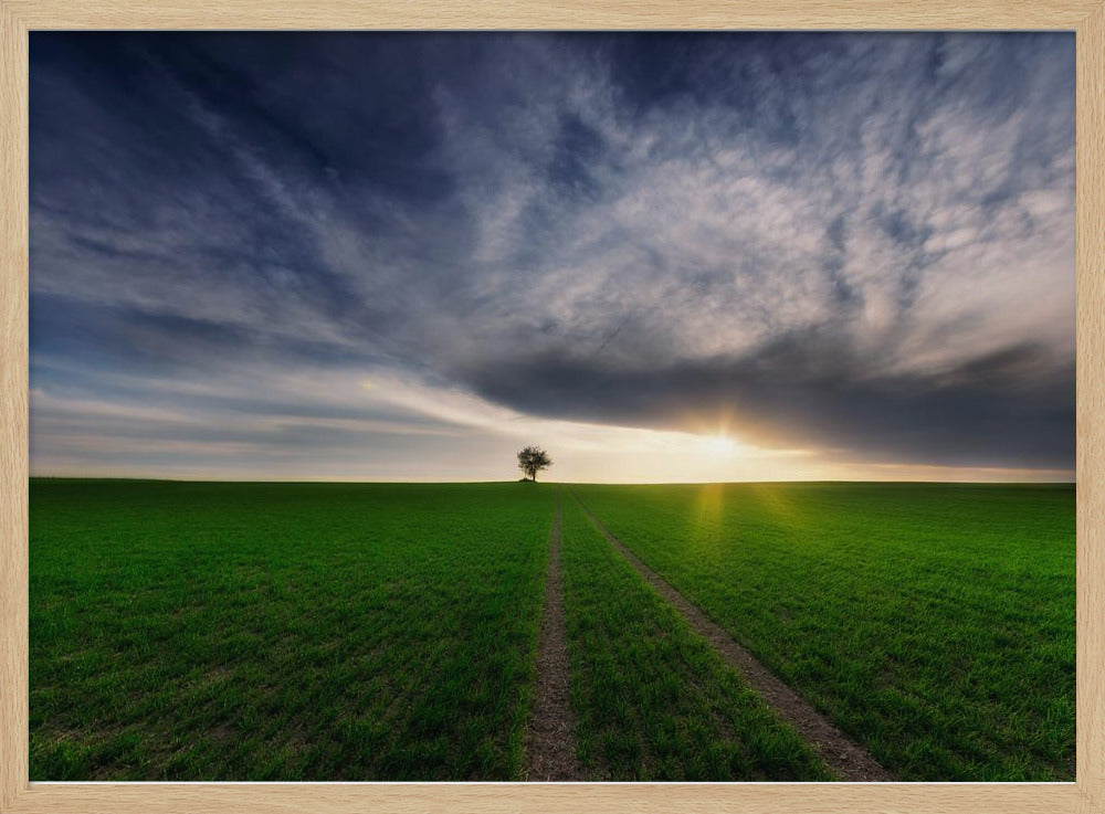 solitario bajo el sol | Posters - Impresiones de Arte