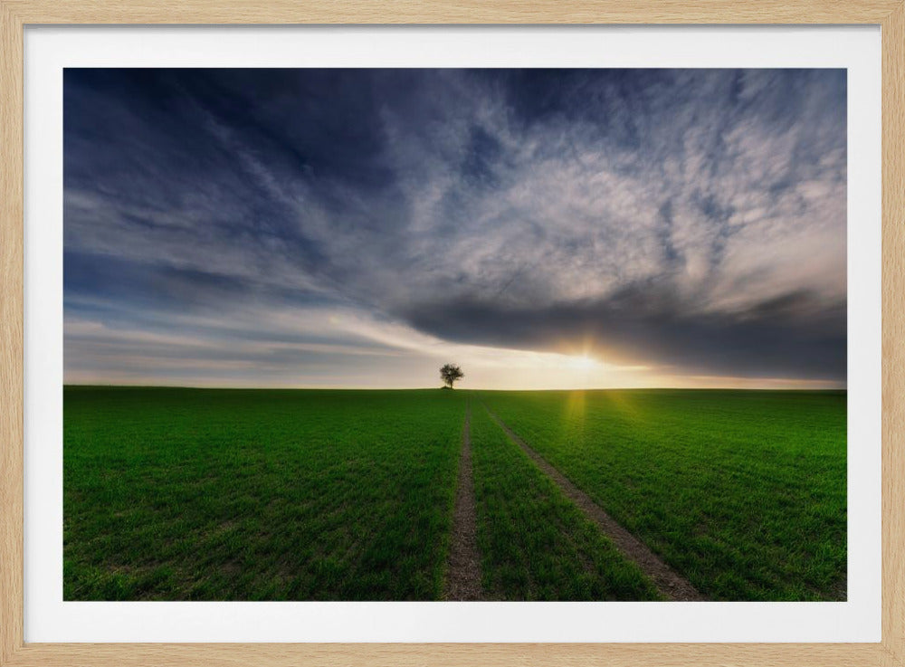 solitario bajo el sol | Posters - Impresiones de Arte