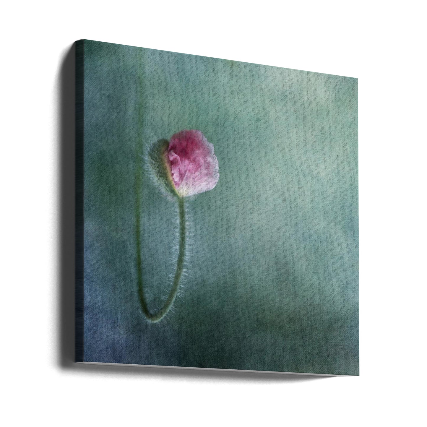 Vertrouwen | Canvasprints