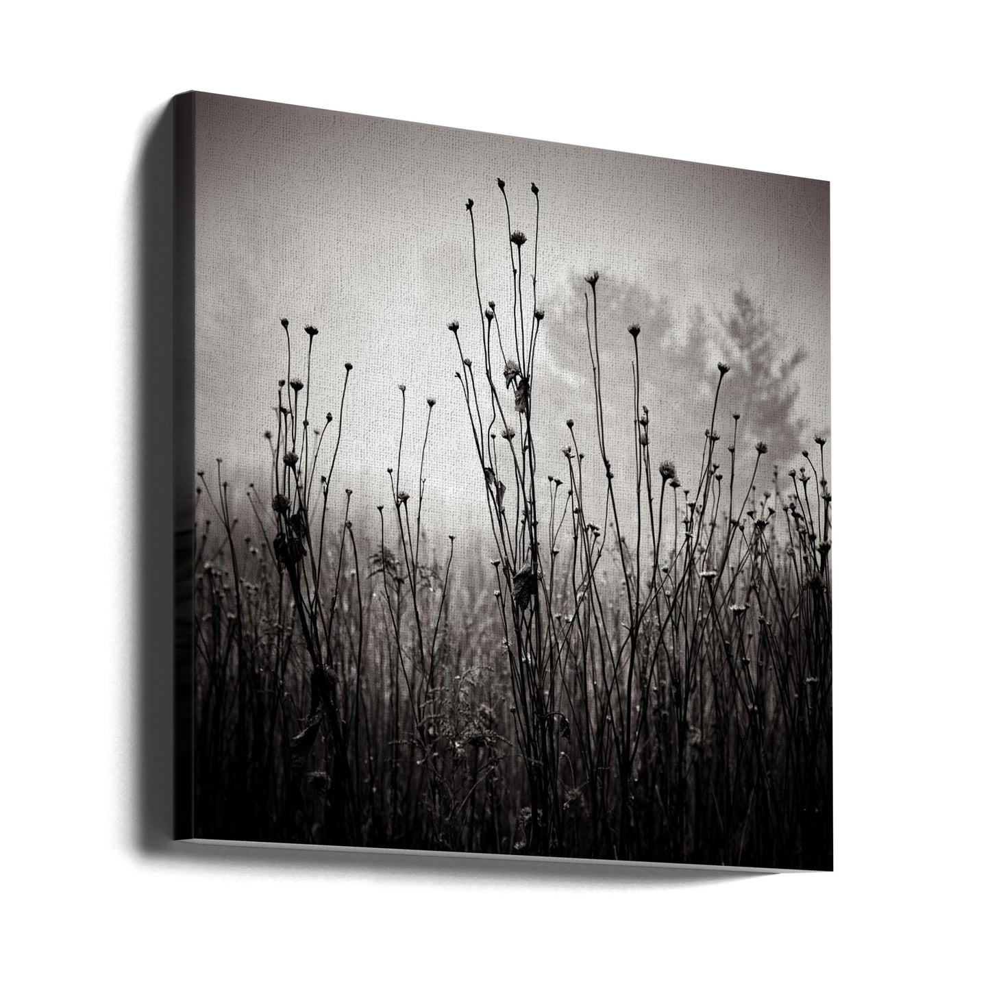 Meadow Plants 1 | Canvas