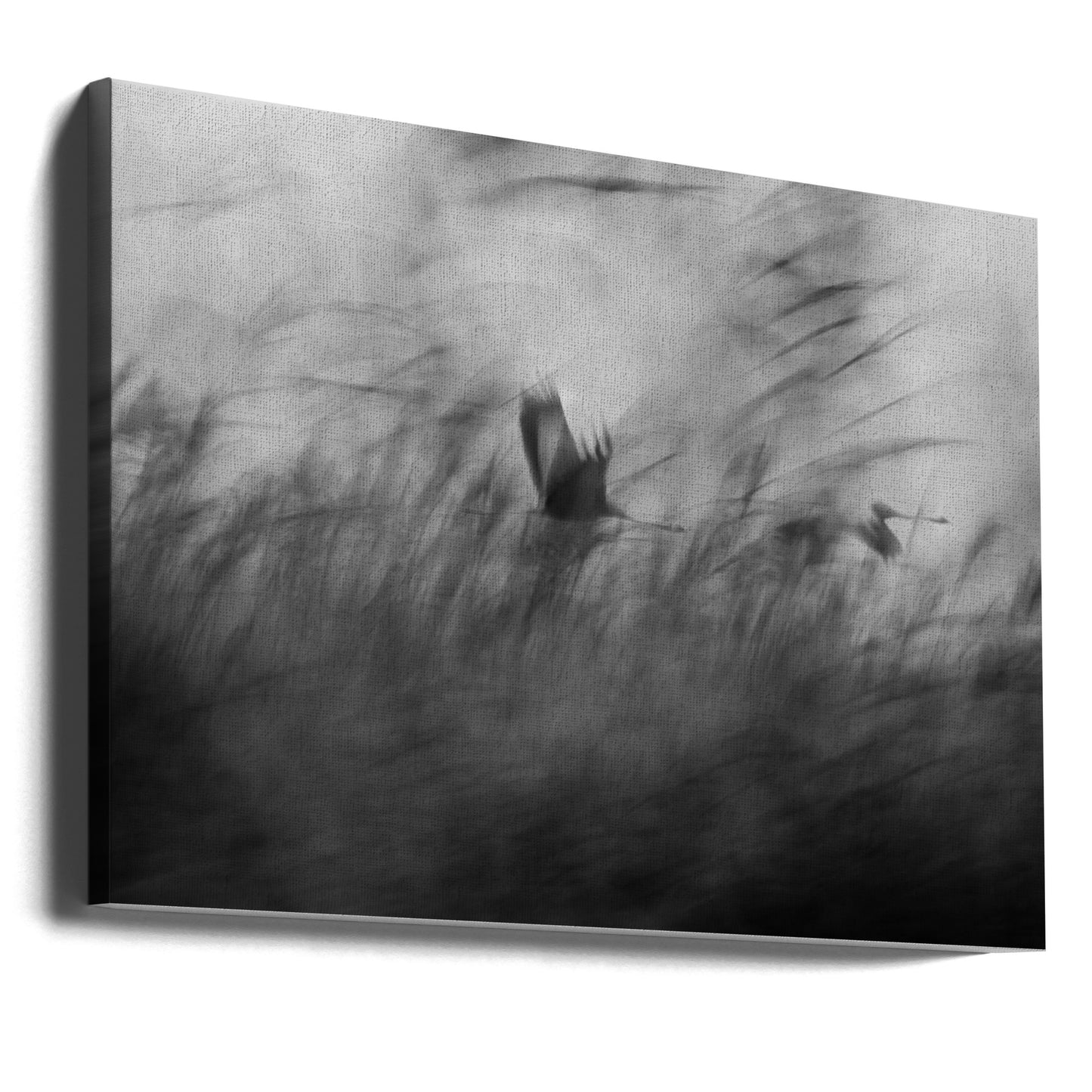 Helt oväntat | Canvas