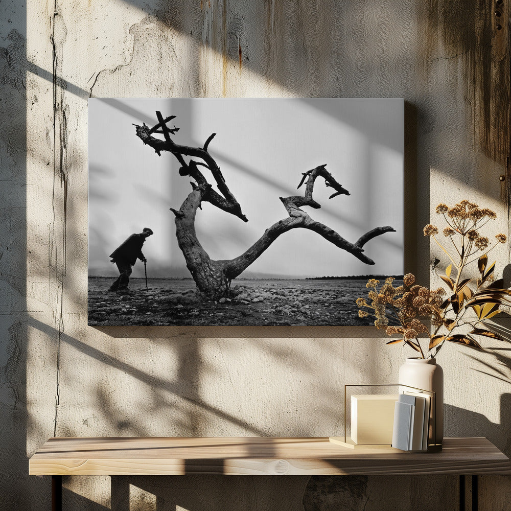 Old Man and Tree | Canvas