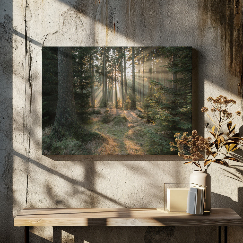 Strålar, del 2 | Canvas