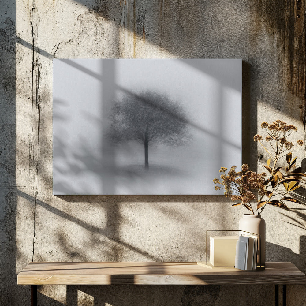 Albero nella nebbia | Stampe su Tela