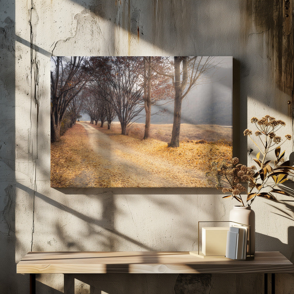 Mitten im Herbst | Leinwand-Bilder
