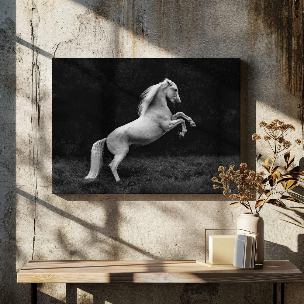 a short story of a blade of grass in a hoof | Canvas