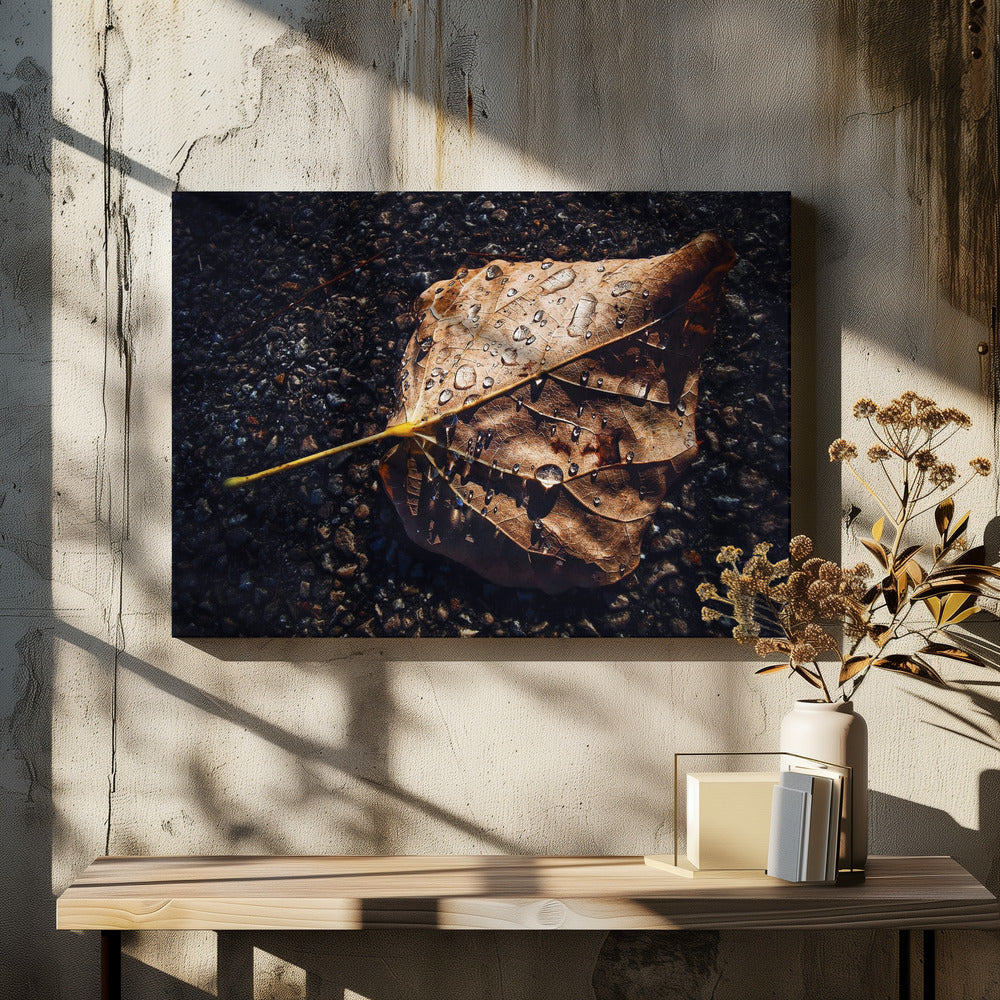 Blatt | Leinwand-Bilder
