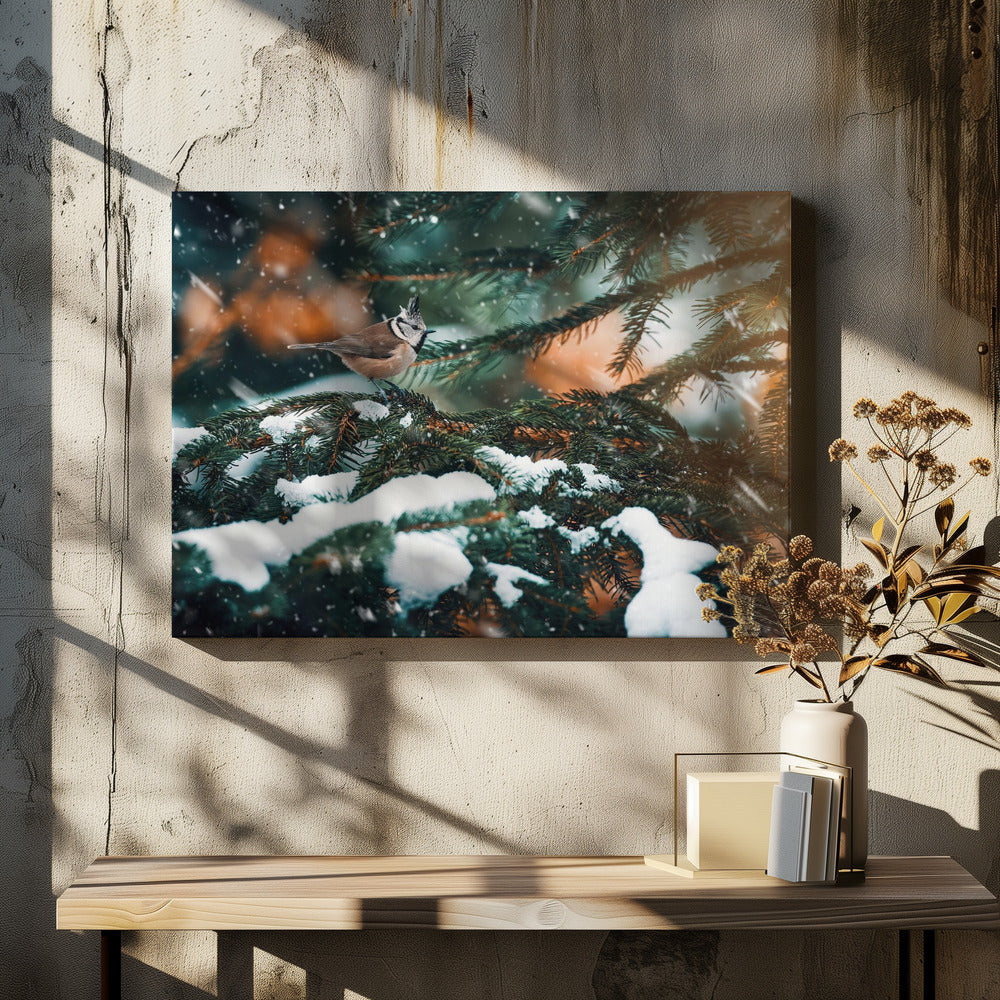 Punkig | Canvas