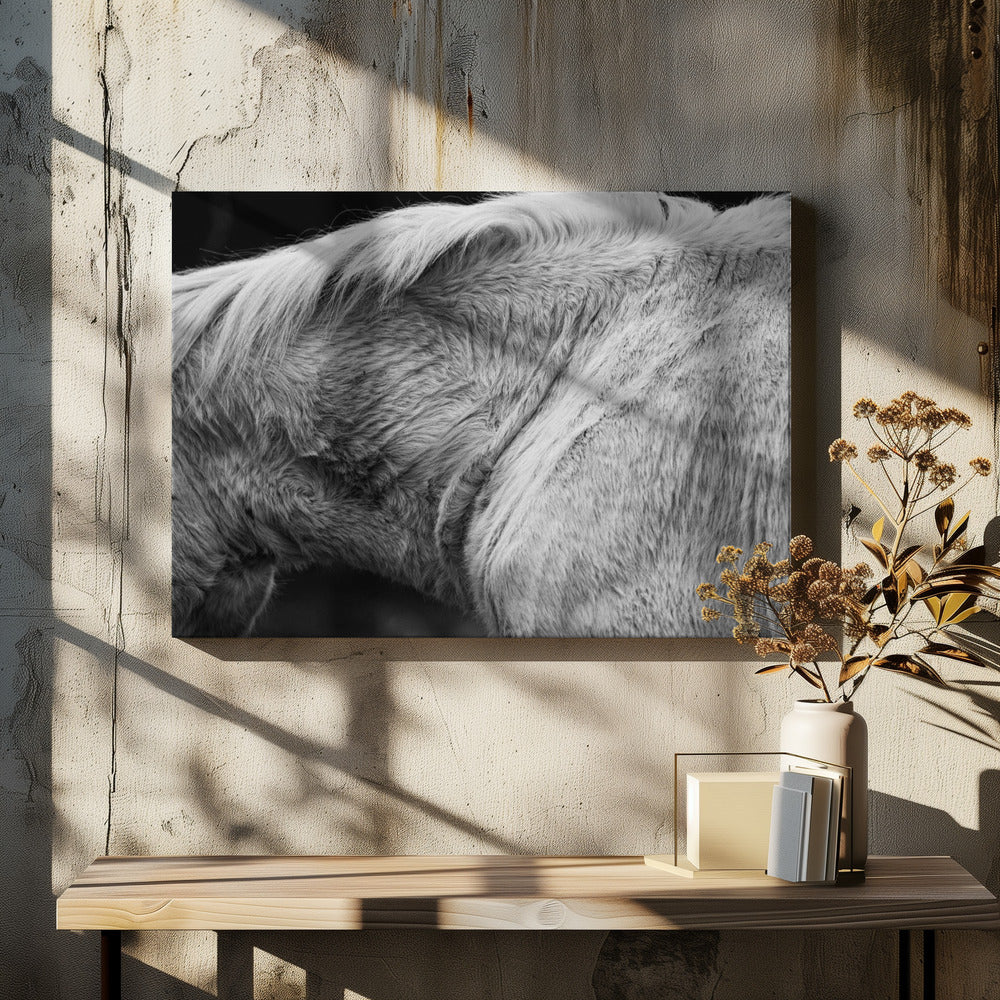 Pferd II | Leinwand-Bilder