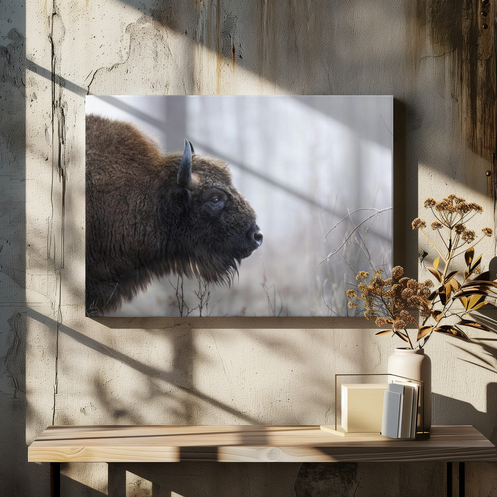 Profil de Bison | Tableaux sur Toile