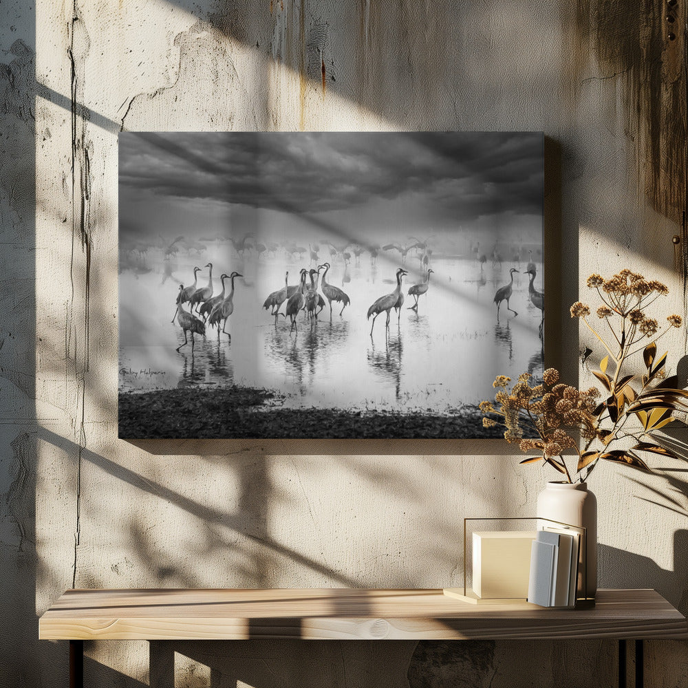 Soluppgång på sjön | Canvas