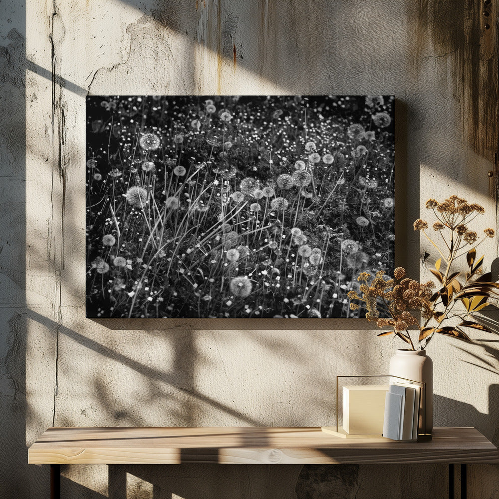 Het paardenbloemenveld | Canvasprints