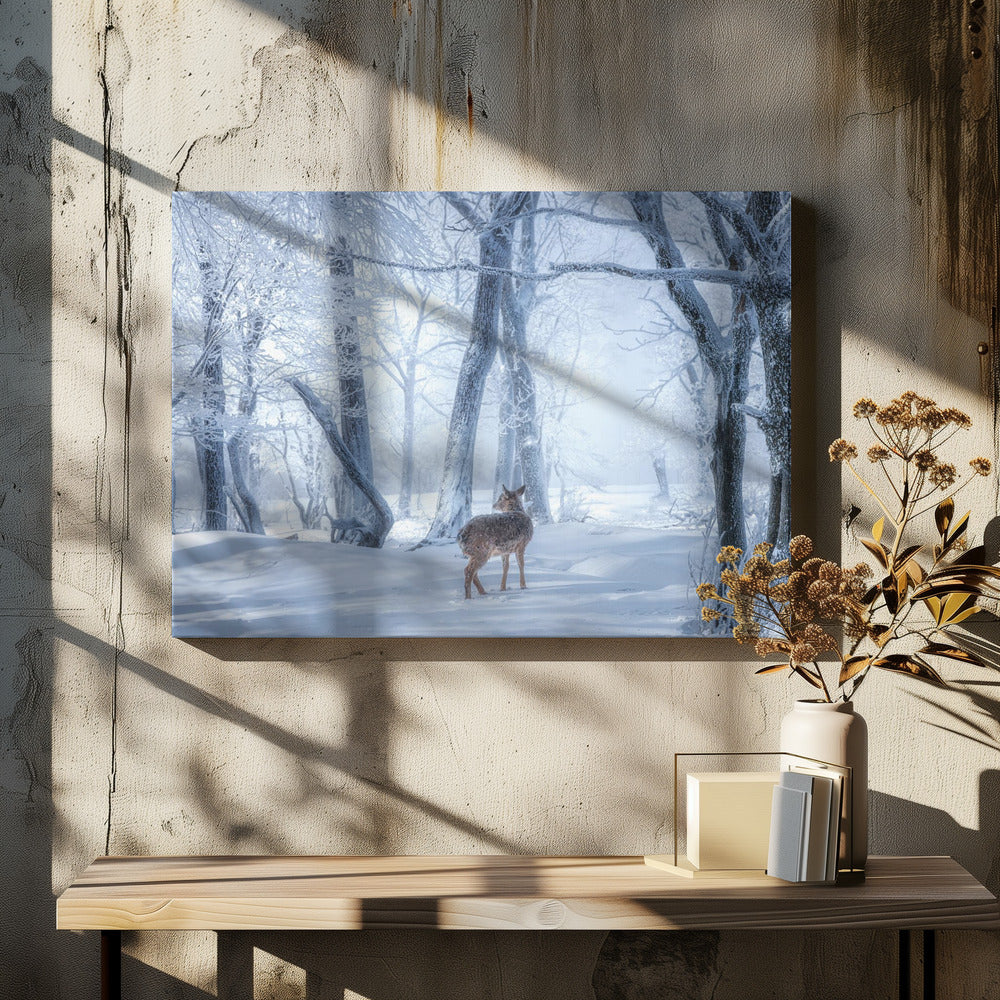 Il cervo Sika nella foresta innevata | Stampe su Tela