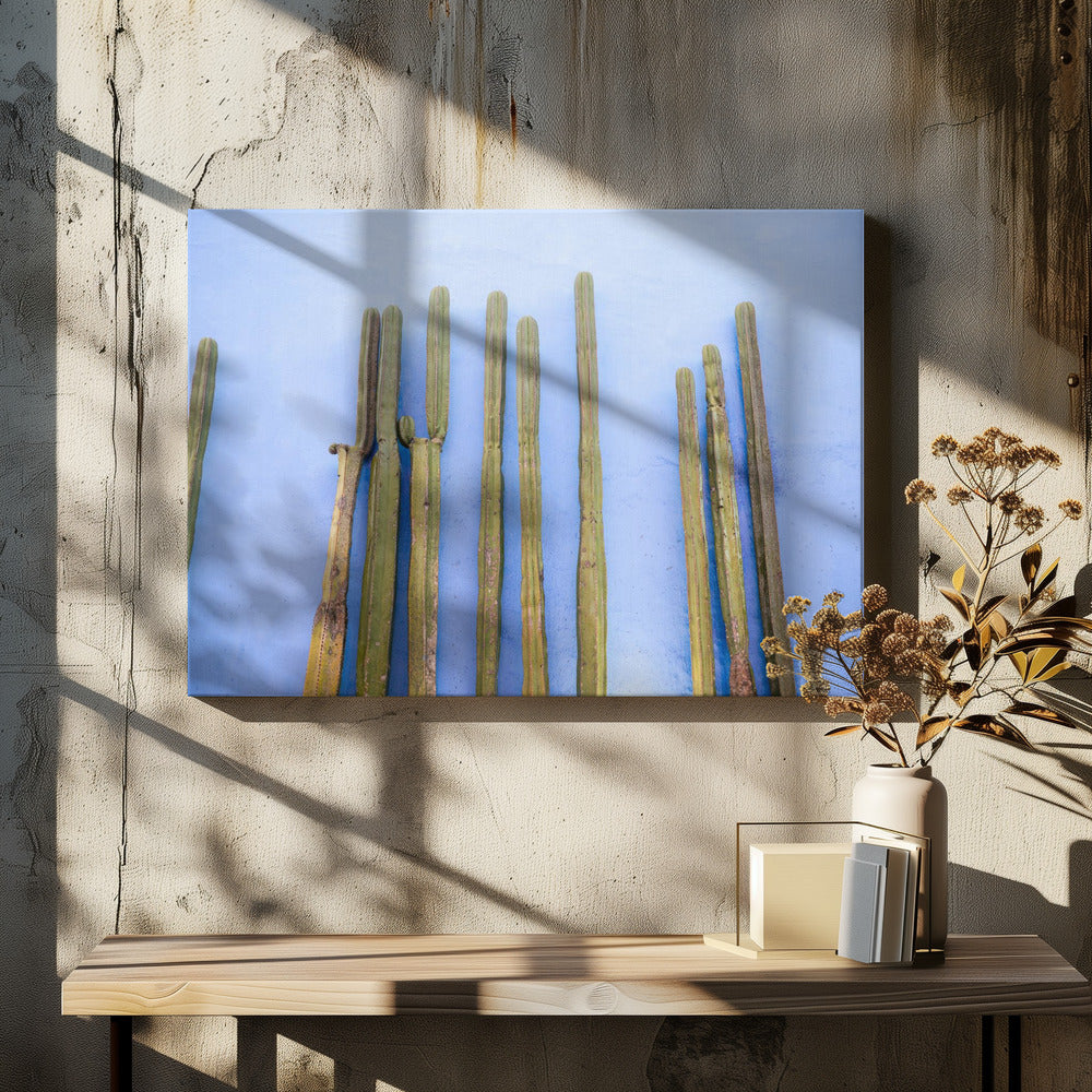 Höga kaktusar på blått | Resor till Oaxaca, Mexiko | Canvas