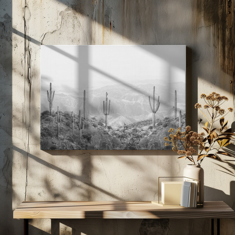 Västlig kaktus | Canvas