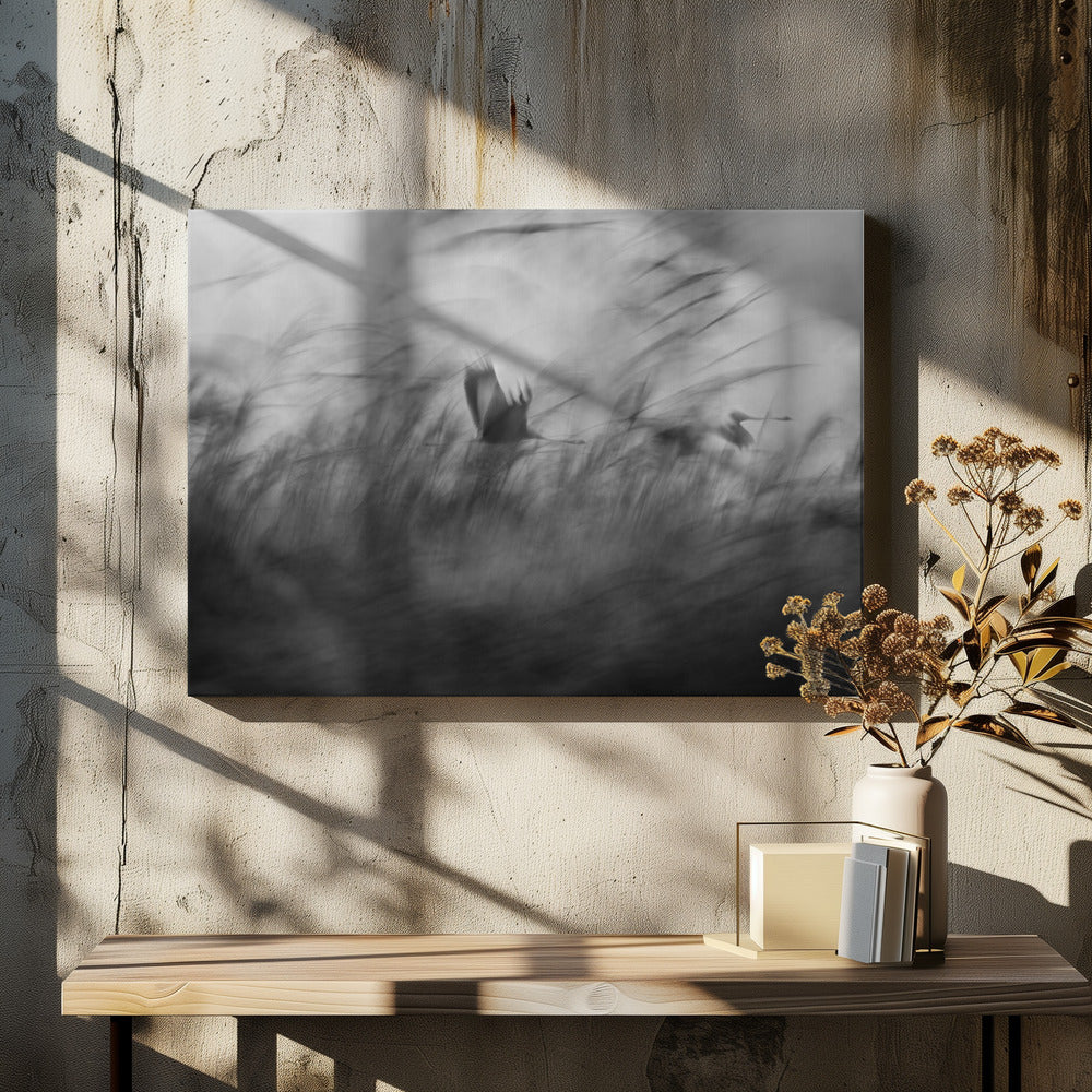 Helt oväntat | Canvas