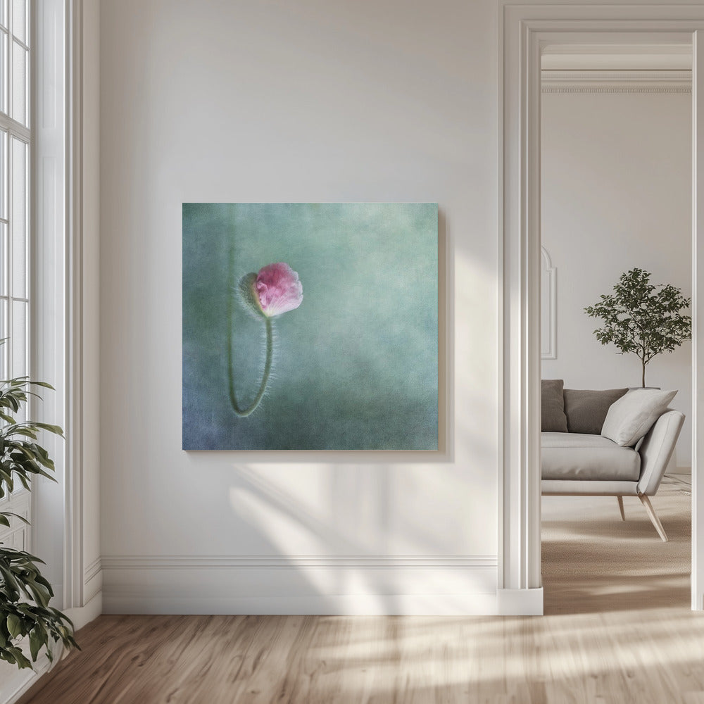 Vertrouwen | Canvasprints