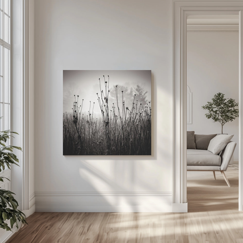 Meadow Plants 1 | Canvas