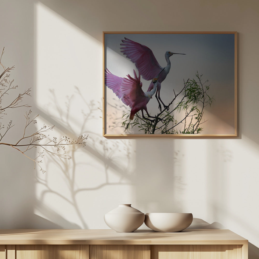Two Roseate Spoonbills | Poster