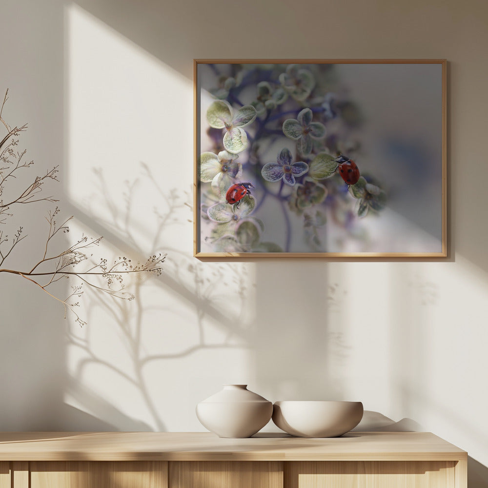 Fragile | Poster - Stampe d’Arte