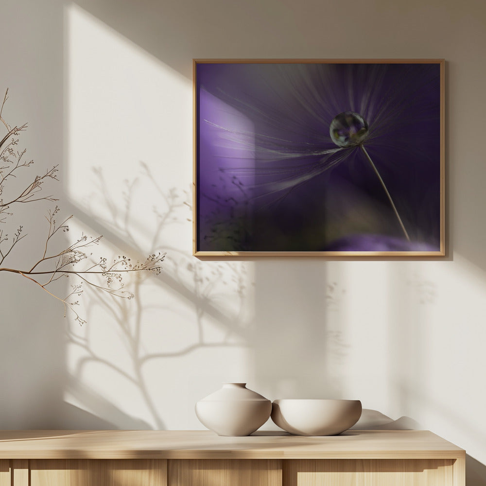 In tinten paars | Posters - Kunstdrukken