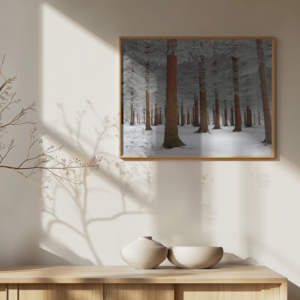 In bianco | Poster - Stampe d’Arte