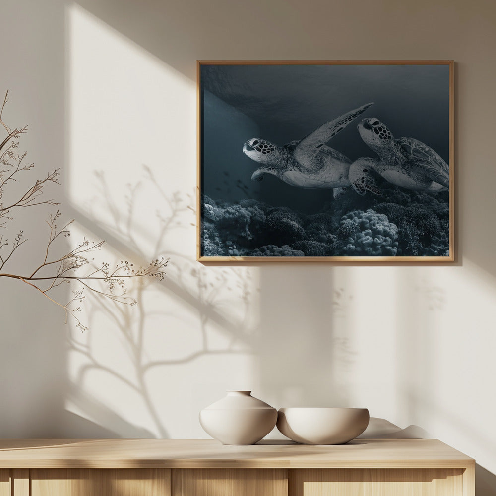 Danza gemella | Poster - Stampe d’Arte
