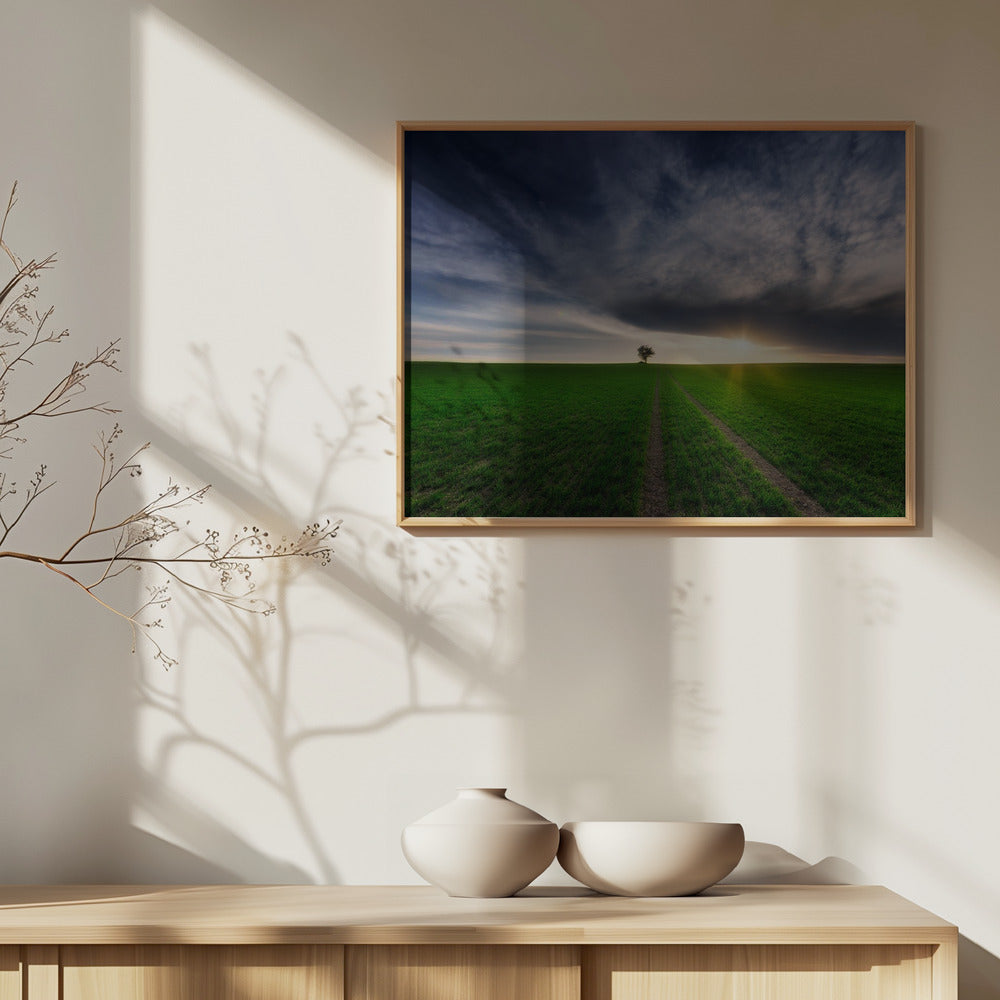 solitario bajo el sol | Posters - Impresiones de Arte