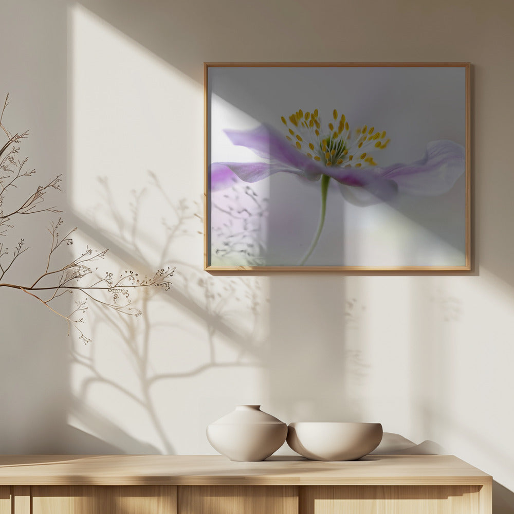 Bosanemoon | Posters - Kunstdrukken