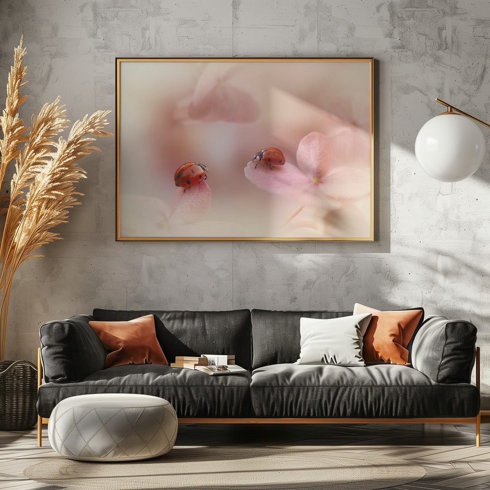 Nyckelpigor på rosa hortensia. Poster
